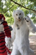 Eurofurence 29