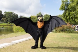 Eurofurence 29
