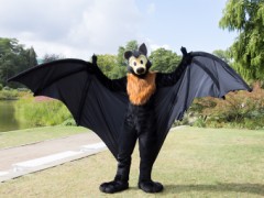 Eurofurence 29