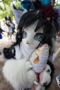 Eurofurence 29