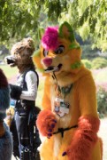 Eurofurence 29
