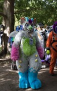 Eurofurence 29