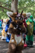 Eurofurence 29