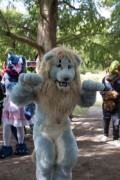 Eurofurence 29