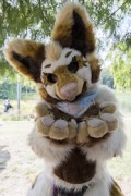 Eurofurence 29