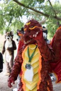 Eurofurence 29