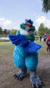 Eurofurence 29