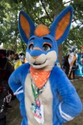 Eurofurence 29