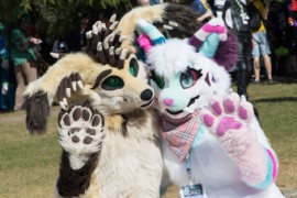 Eurofurence 29