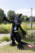 Eurofurence 29