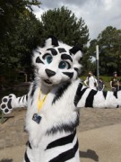Eurofurence 29