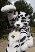 Eurofurence 29