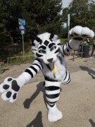 Eurofurence 29