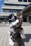 Eurofurence 29