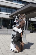 Eurofurence 29