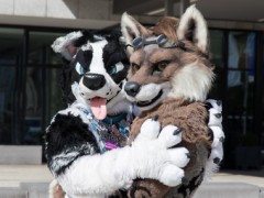 Eurofurence 29