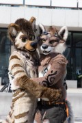 Eurofurence 29
