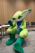 Eurofurence 29