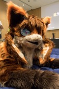 Eurofurence 29