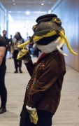 Eurofurence 29
