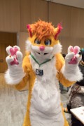 Eurofurence 29