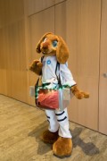 Eurofurence 29