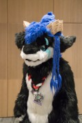 Eurofurence 29