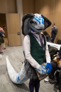 Eurofurence 29