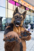 Eurofurence 29