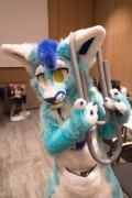 Eurofurence 29
