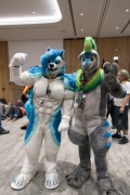 Eurofurence 29