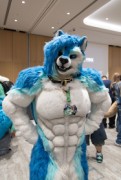 Eurofurence 29