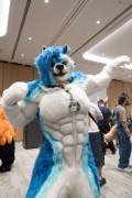 Eurofurence 29