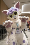 Eurofurence 29