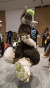 Eurofurence 29