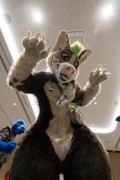Eurofurence 29