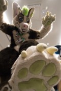 Eurofurence 29