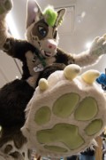 Eurofurence 29
