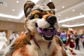 Eurofurence 29