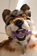 Eurofurence 29