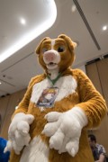 Eurofurence 29