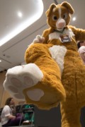 Eurofurence 29