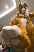 Eurofurence 29