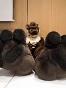 Eurofurence 29