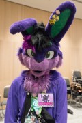 Eurofurence 29