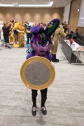 Eurofurence 29