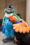 Eurofurence 29
