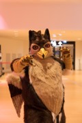Eurofurence 29