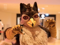 Eurofurence 29