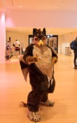 Eurofurence 29